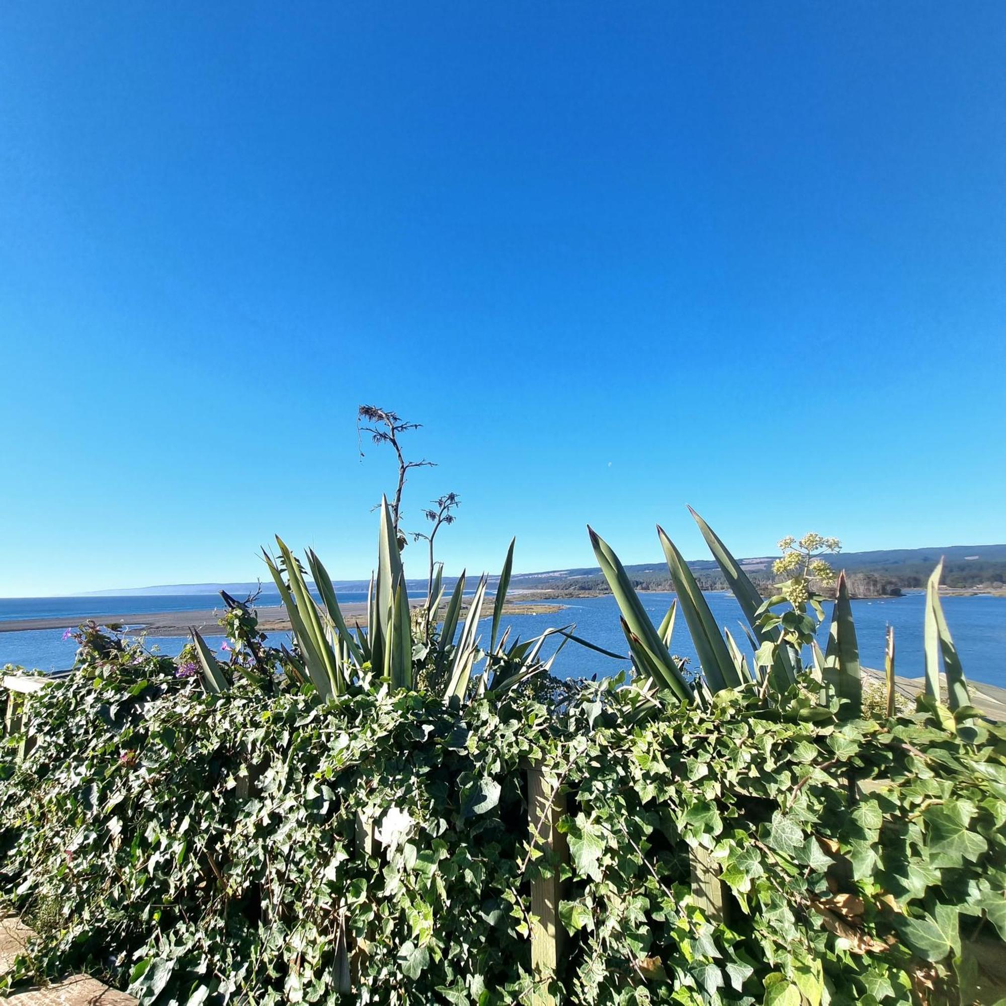 Max & Mar Pichilemu Пічилему Екстер'єр фото